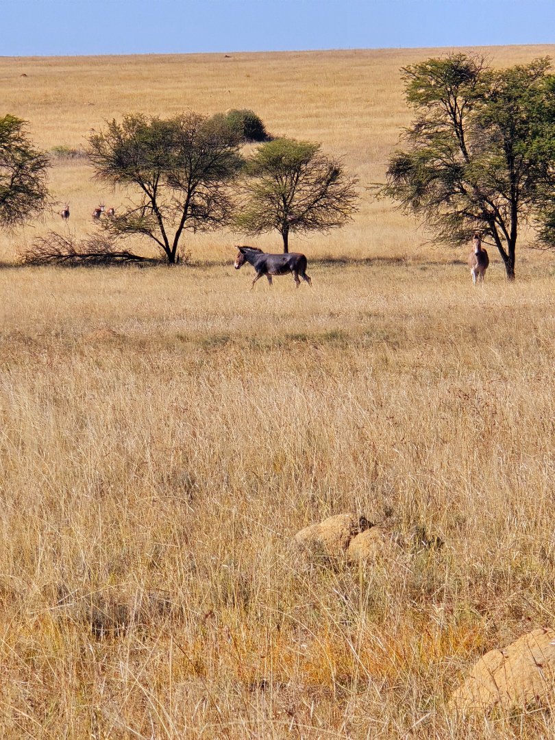 Commercial Property for Sale in Klerksdorp Rural North West